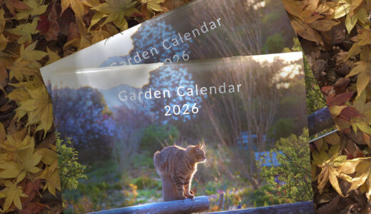 Garden calendar 2026